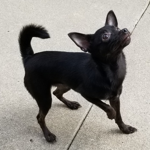 Meet your Posher, Mary - Picture 7 of 8